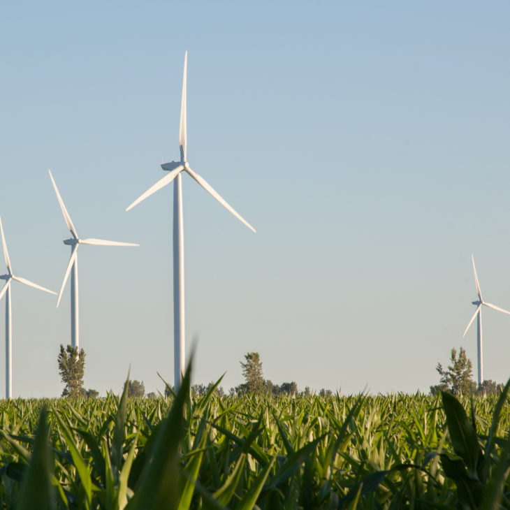 Énergie renouvelable, Photo d'un champs avec éoliennes