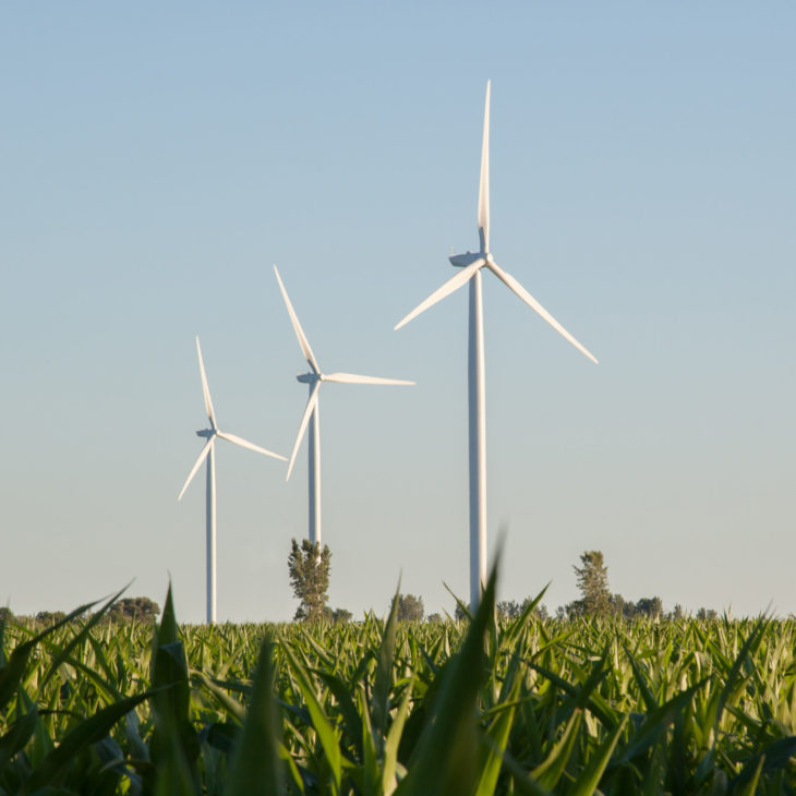 Renewable energy, Photo of a field with wind turbines