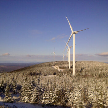 Wind turbines in the middle of a forest expanse
