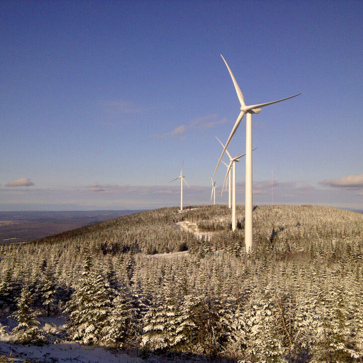 Wind turbines in the middle of a forest expanse