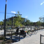 Bicycle parking on the campus of the University of Montreal
