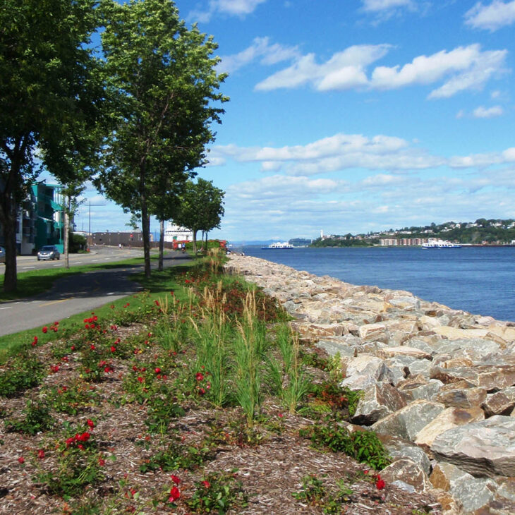 Image of the riprap protecting the banks of the St. Lawrence River, along Champlain Boulevard in Quebec City